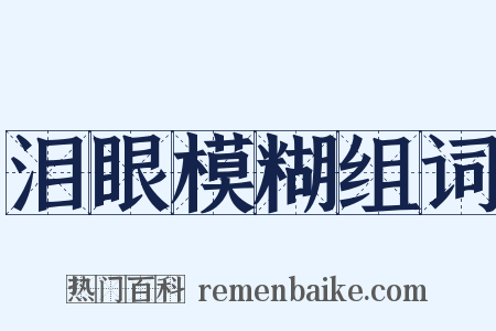 泪眼模糊组词是什么意思的图片